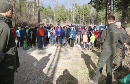 POGOZDOVANJE V RAKOVEM ŠKOCJANU 06 FOTO LJUBO VUKELIČ